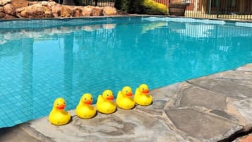 Una piscina con borde de piedra y una hilera de patitos de goma alineados en el borde.