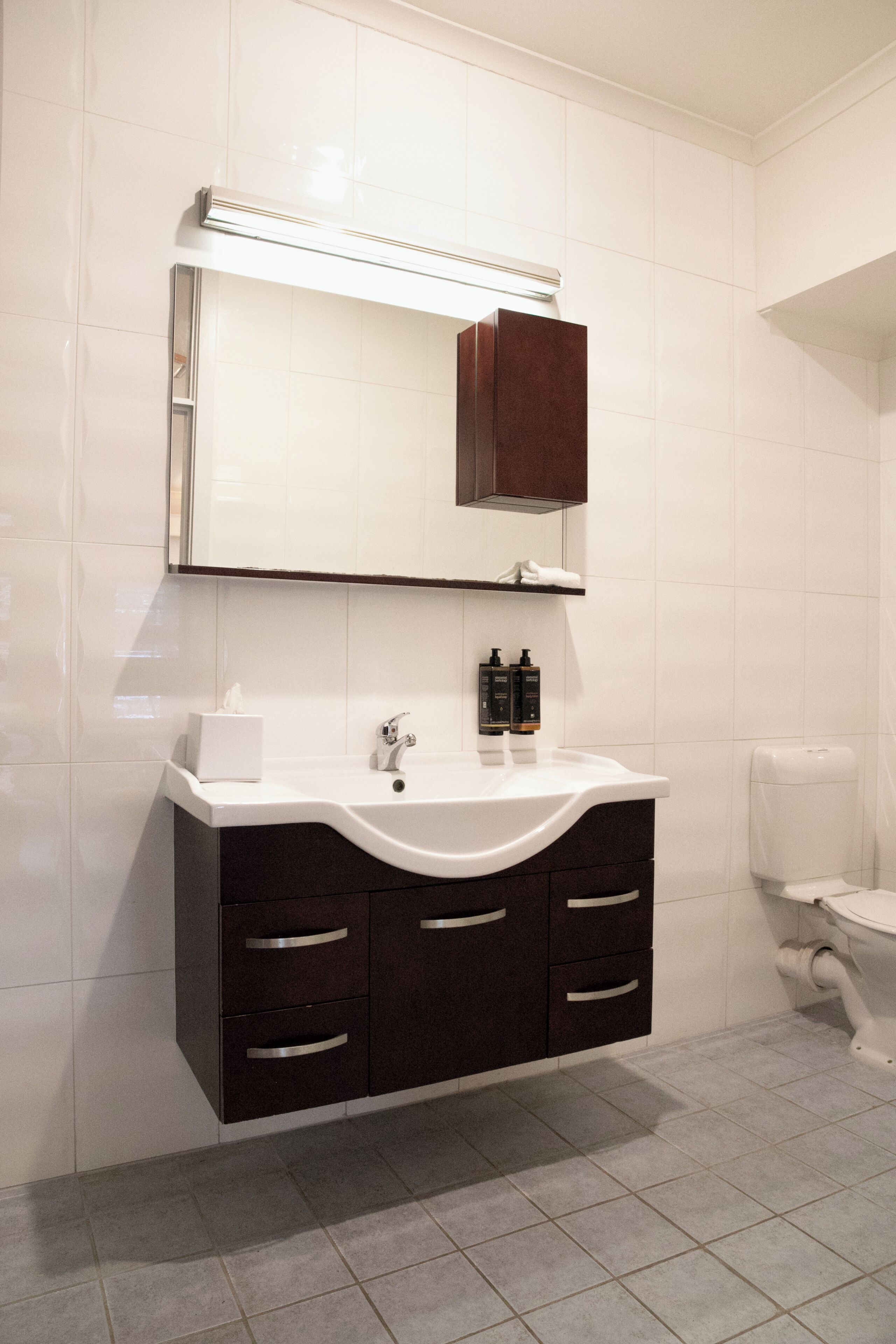 Un baño con lavamanos blanco, muebles oscuros, un espejo y un inodoro.