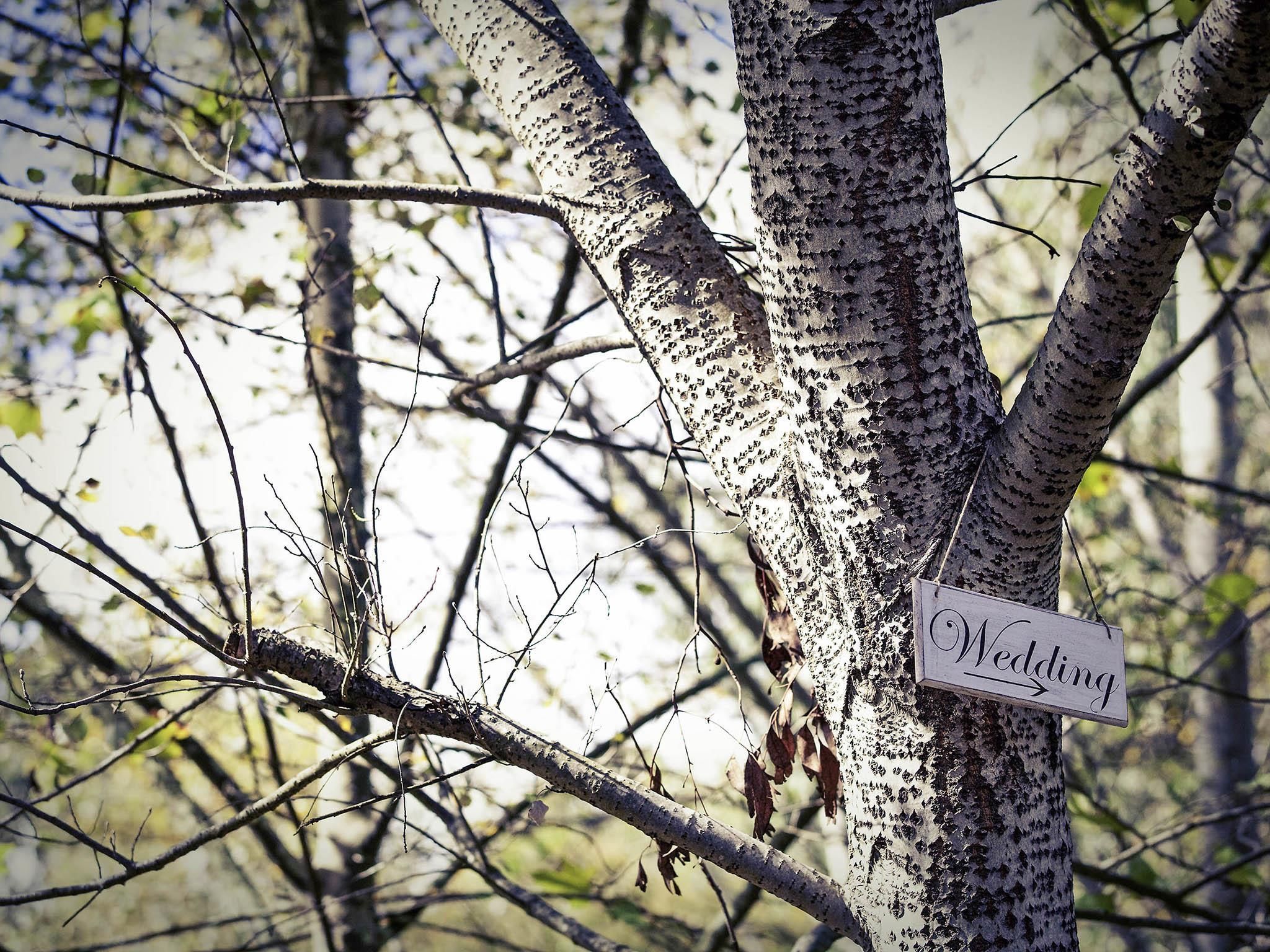 A tree with a sign that reads 'Wedding.'