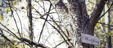 A tree with a sign that reads 'Wedding.'