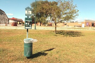 Comodidades para pets