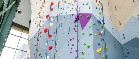 Un mur d’escalade avec plusieurs voies, des cônes de sécurité et des prises d’escalade.