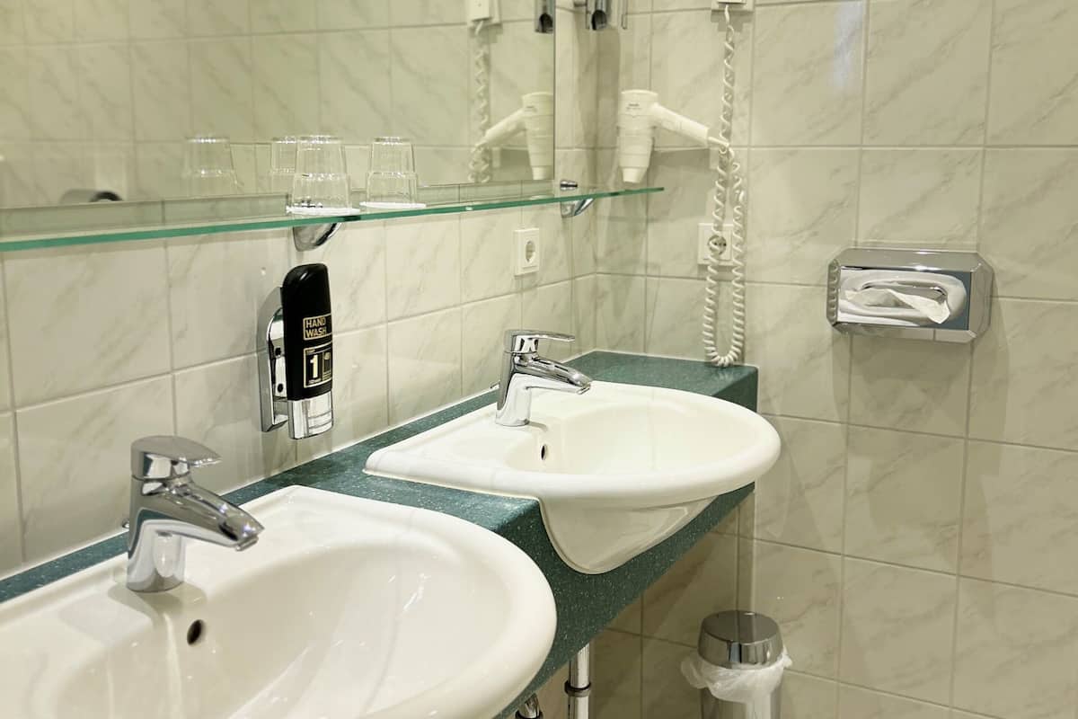 business double room | bathroom | free toiletries, hair dryer, towels