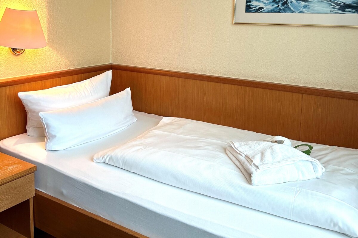 Habitación estándar, 1 cama individual | 1 dormitorio, ropa de cama hipoalergénica, caja fuerte y escritorio