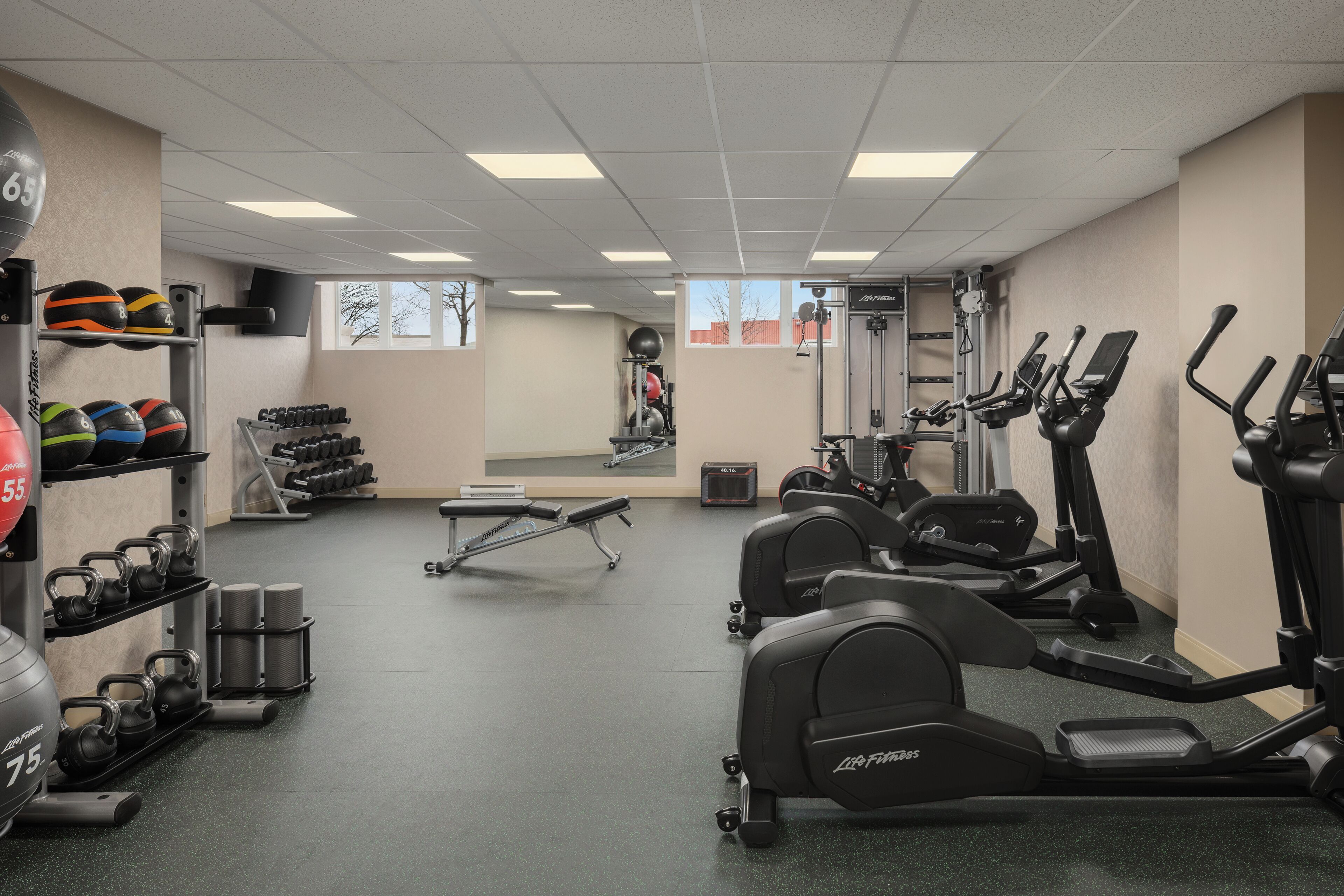 Area fitness