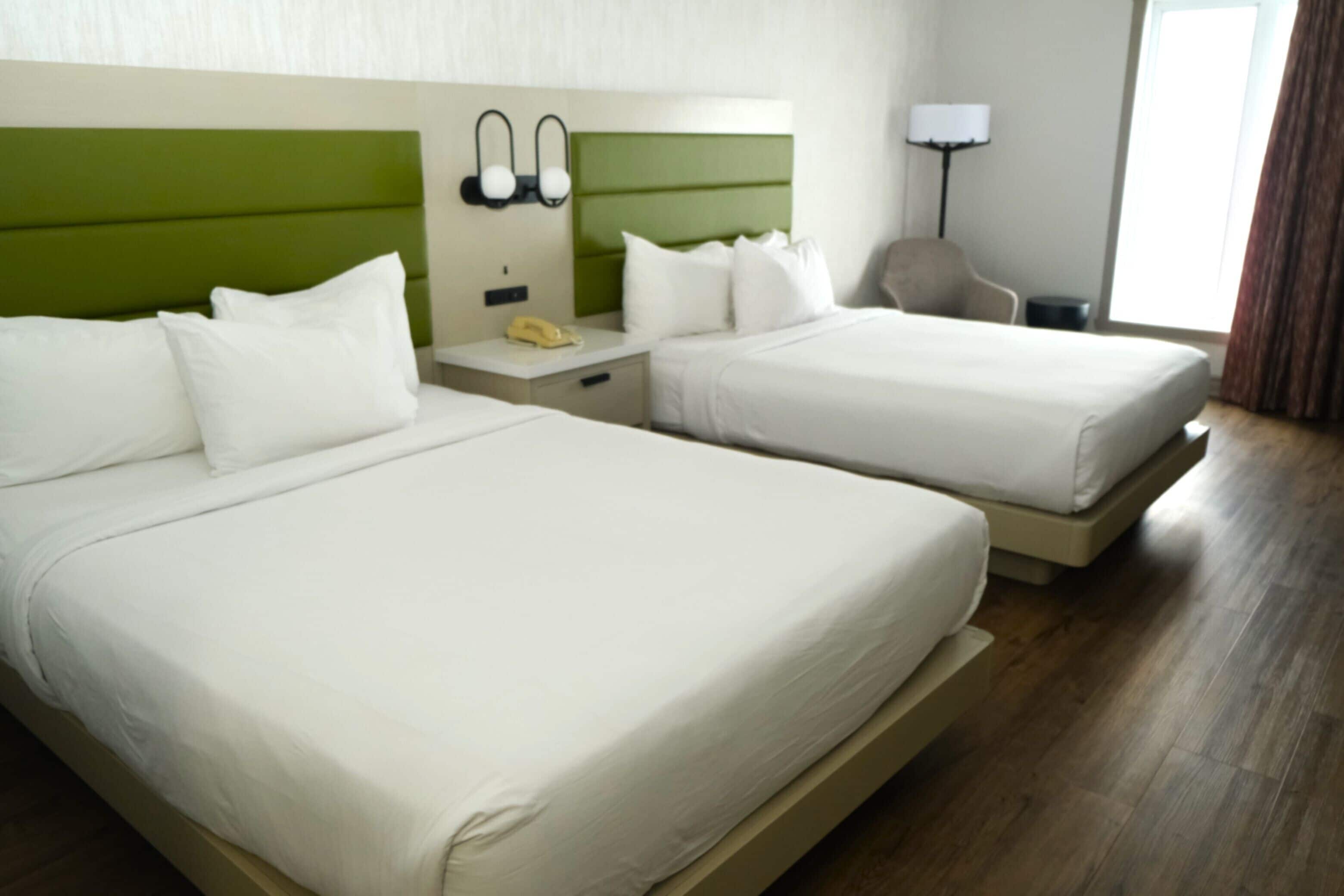 스탠다드룸, 퀸사이즈침대 2개, 금연 | 객실 내 금고, 책상, 다리미/다리미판, 무료 유아용 침대