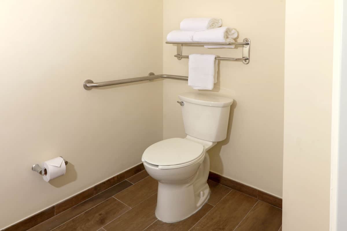 Standard Room, 1 King Bed, Accessible | Bathroom | Rainfall showerhead, hair dryer, towels, soap