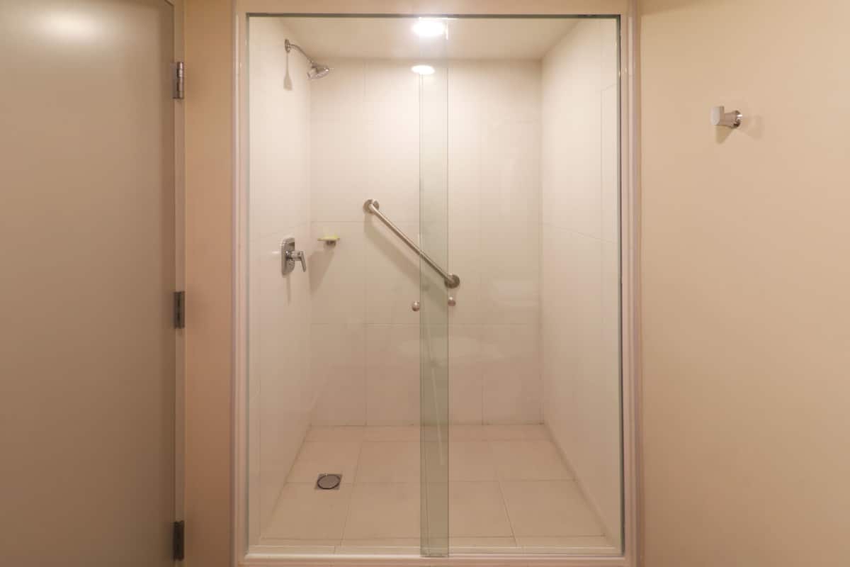 Rainfall showerhead, hair dryer, towels, soap