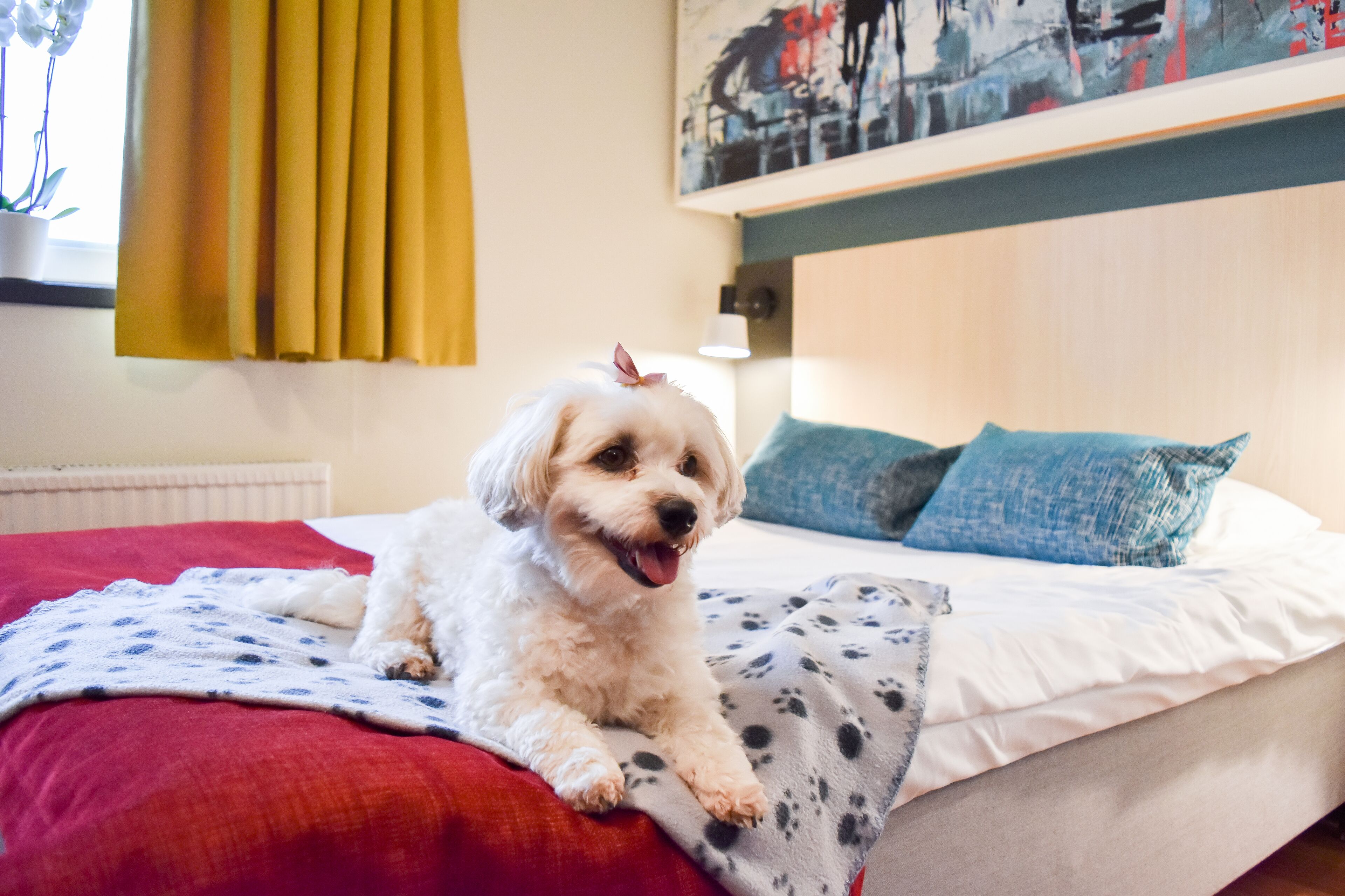 Foto - Good Morning Mölndal