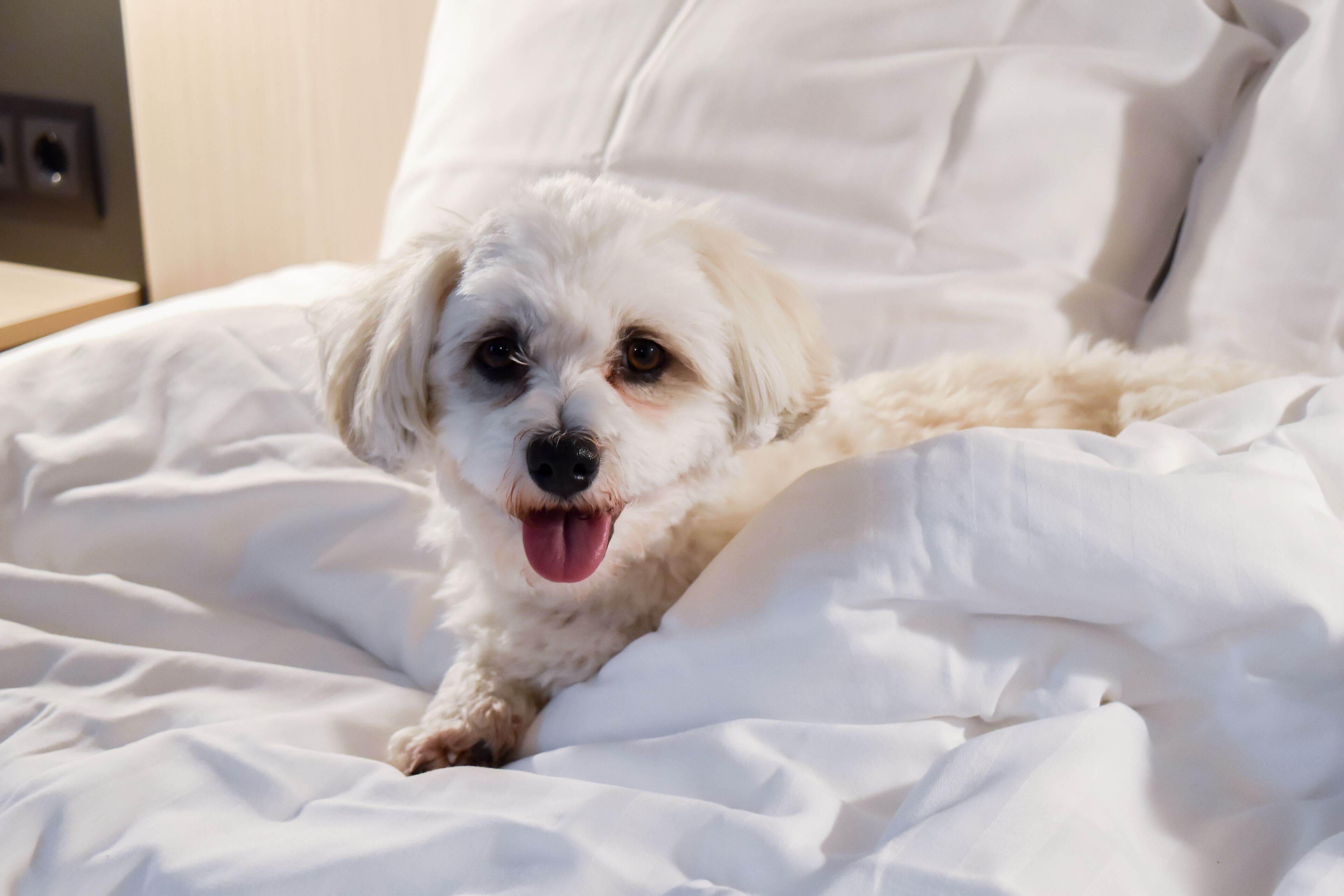 Foto - Good Morning Mölndal