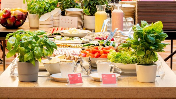 A buffet table with various food items, salad, and drinks, surrounded by potted plants. - ibis Lodz Centrum (Lodz)