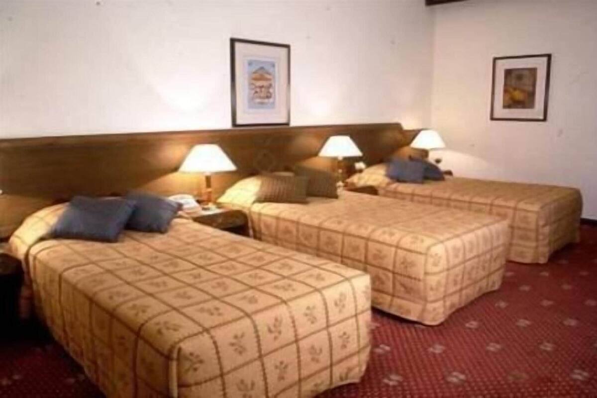 A hotel room with two single beds, a wooden headboard, two bedside lamps, and a red carpet.