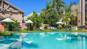 Outdoor pool, pool umbrellas, sun loungers