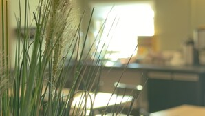 Una cocina moderna con comedor, que incluye una planta en primer plano.