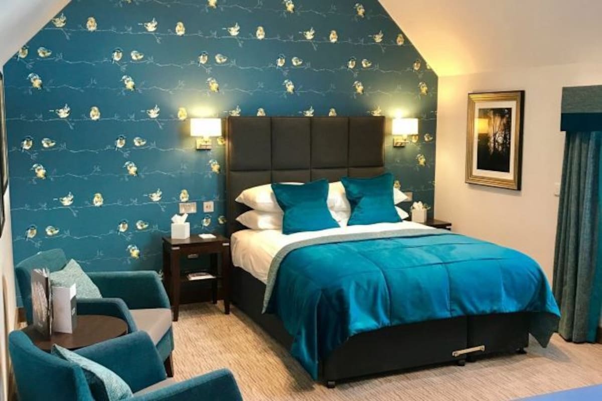 A bedroom with a dark headboard, teal bedding, and a wall with a bird pattern. There are two bedside tables with lamps and a framed picture on the wall.