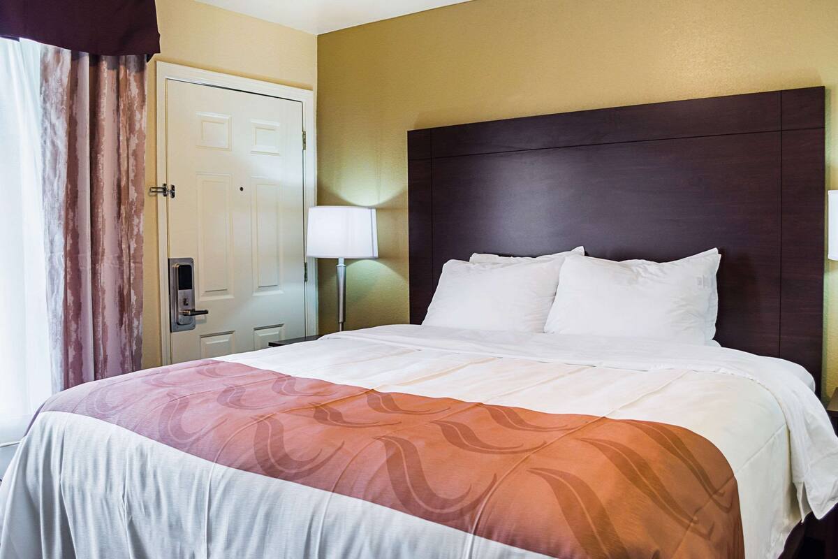 A hotel room with a large bed, a nightstand with a lamp, a door, and a view of the outside.