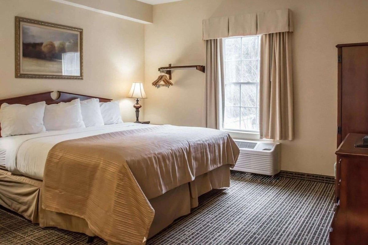 A hotel room with a large bed, a bedside table with a lamp, a window with curtains, a radiator, and a framed picture on the wall.
