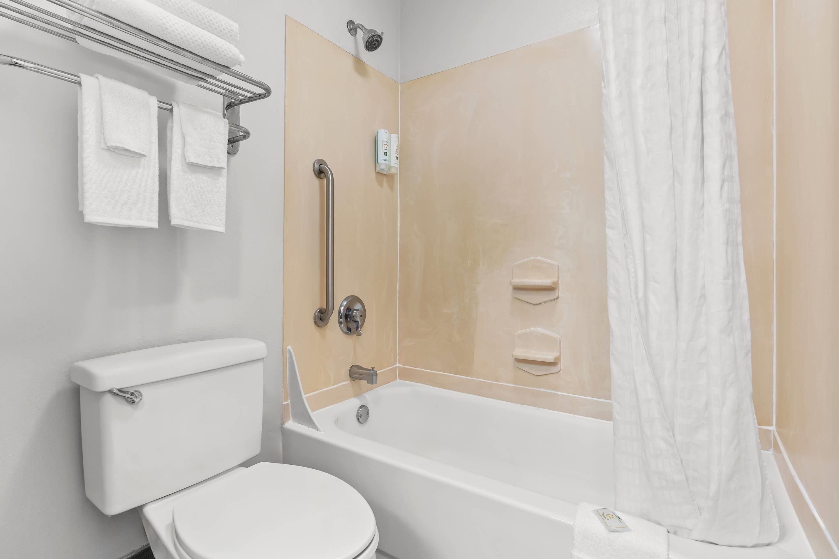A bathroom with a toilet, bathtub, shower, and handrails.