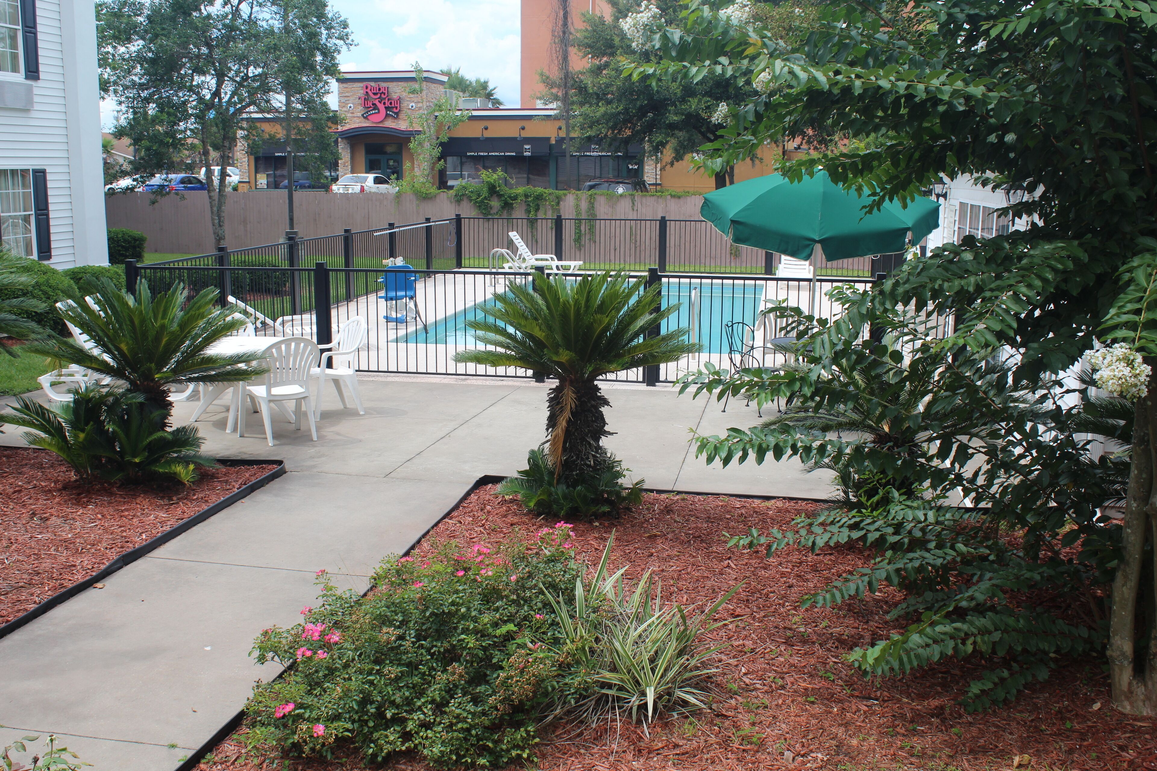 A pool area with lounge chairs, a fenced deck, and a variety of plants.