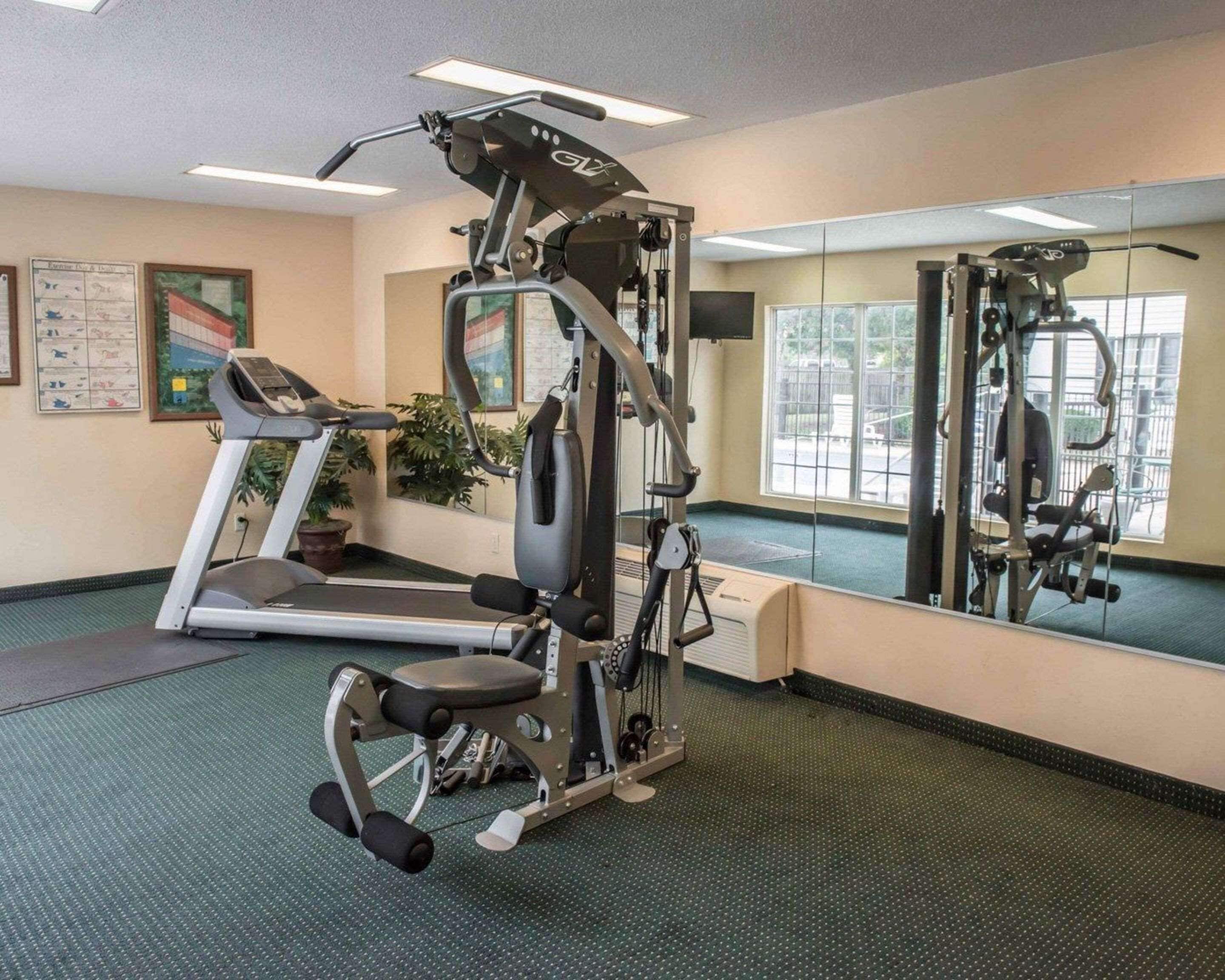 A gym with a treadmill, weight machines, and a mirrored wall.