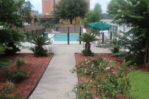 Outdoor pool, sun loungers