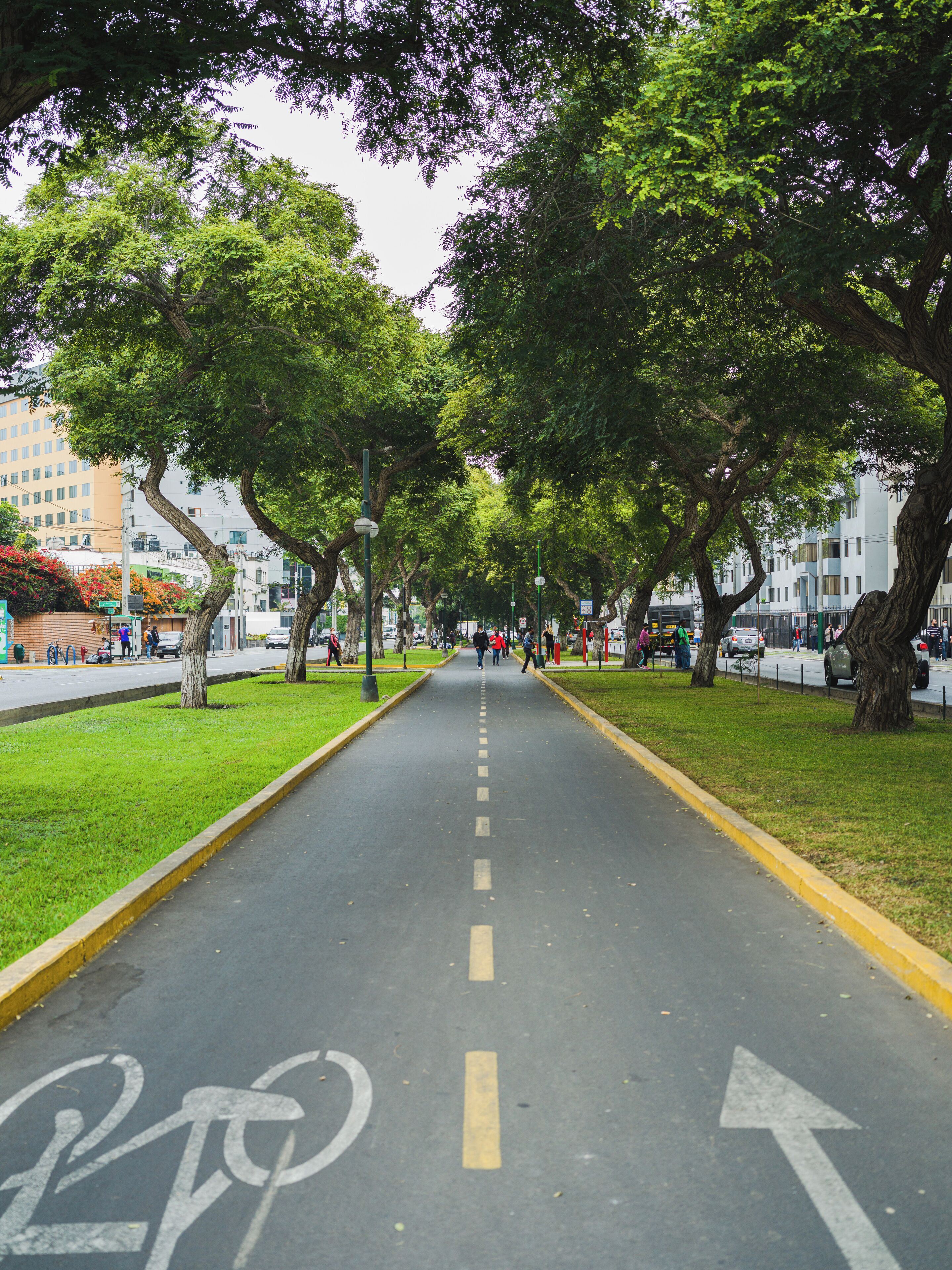 the level, premium room | view from room