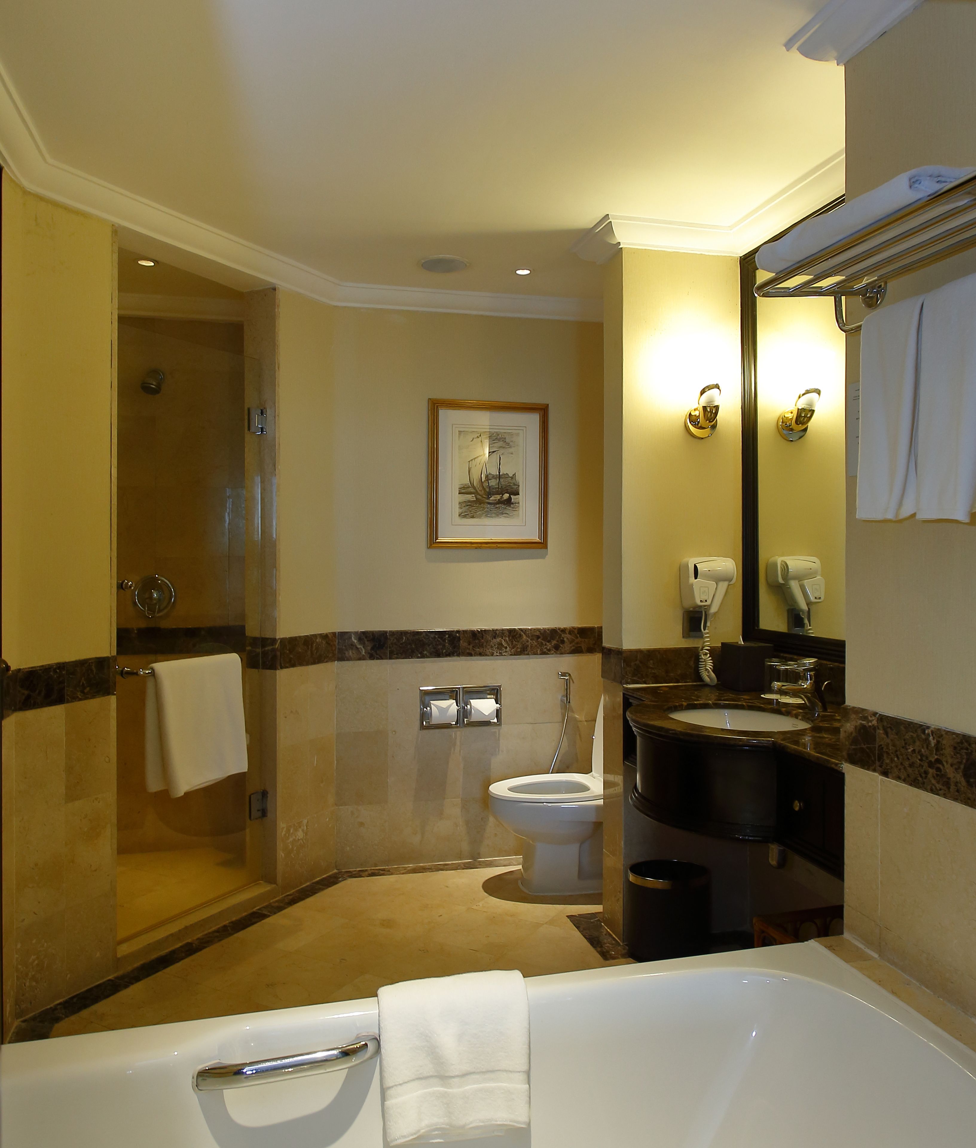 A modern bathroom with a walk-in shower, a bathtub, a toilet, and a sink.