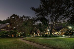 A well-lit outdoor area with a pathway leading to a building with a thatched roof, surrounded by trees and greenery.