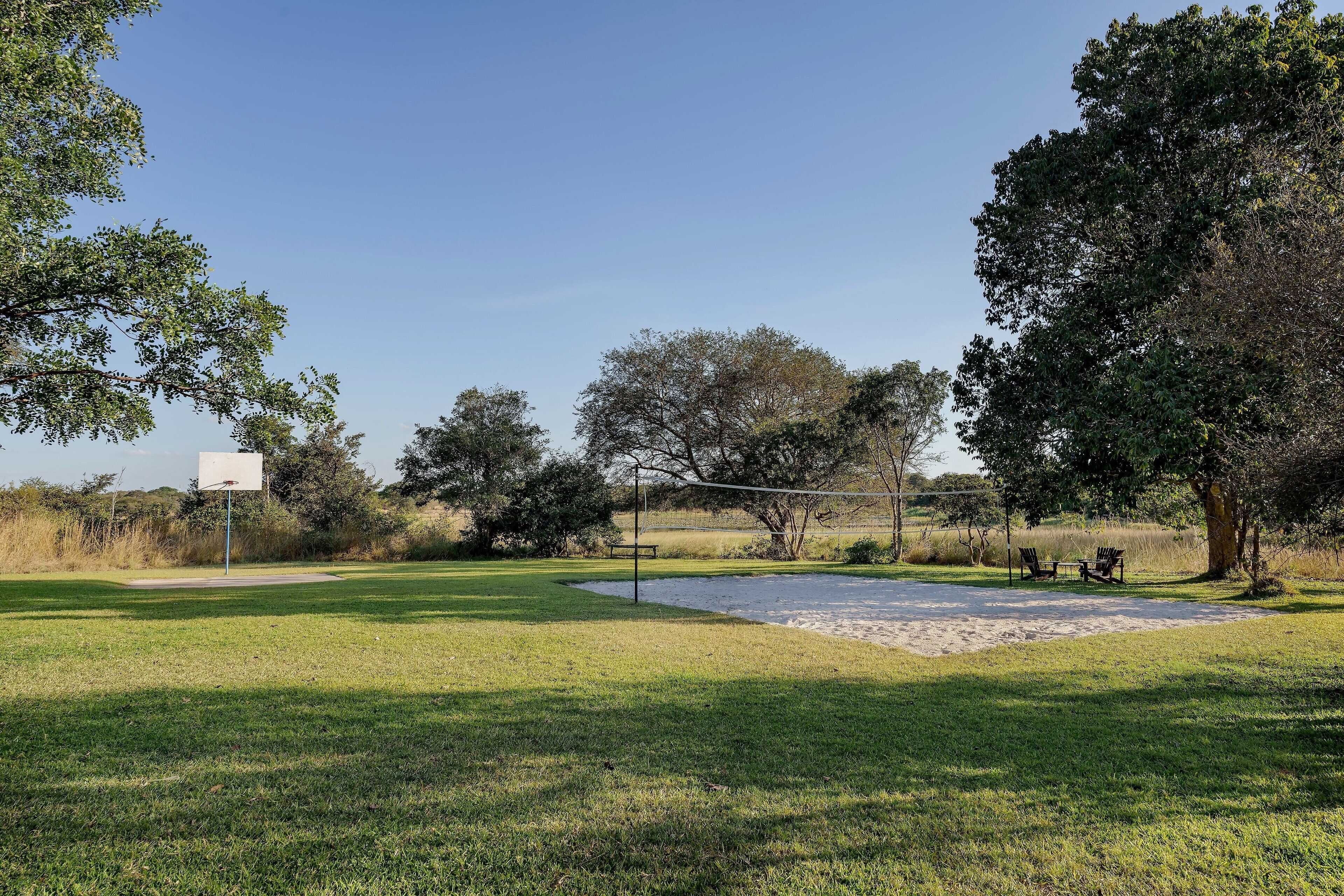 A grassy area with a volleyball net, trees, and a basketball hoop.