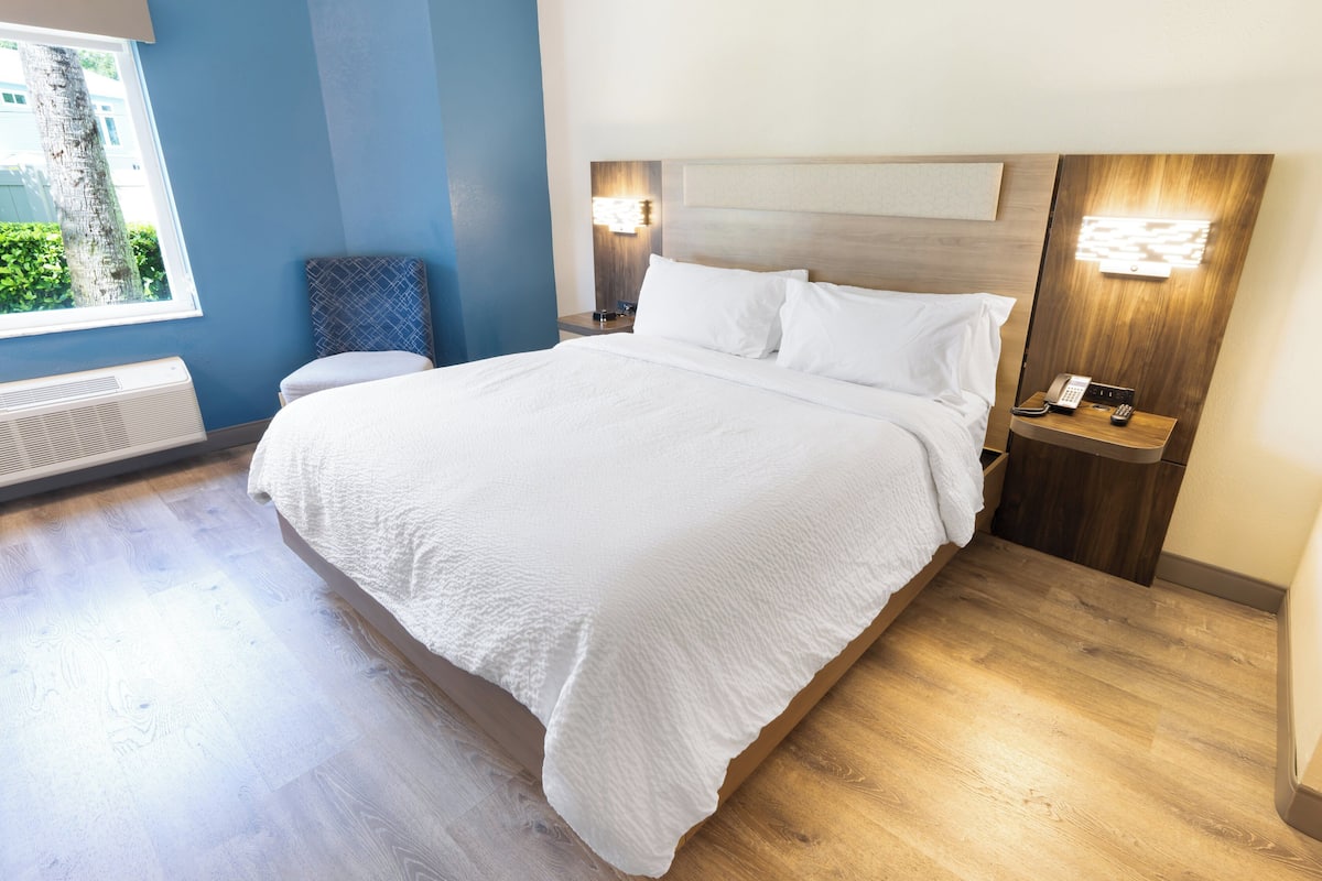 A neatly made bed in a hotel room with a blue accent wall, a nightstand with a phone, and a window with a view of trees.
