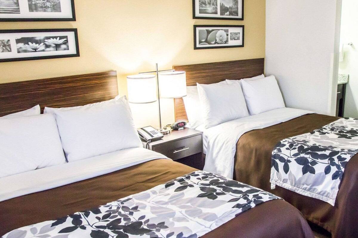 Habitación de hotel con dos camas, una mesita de noche con lámpara, teléfono y cuadros en la pared.