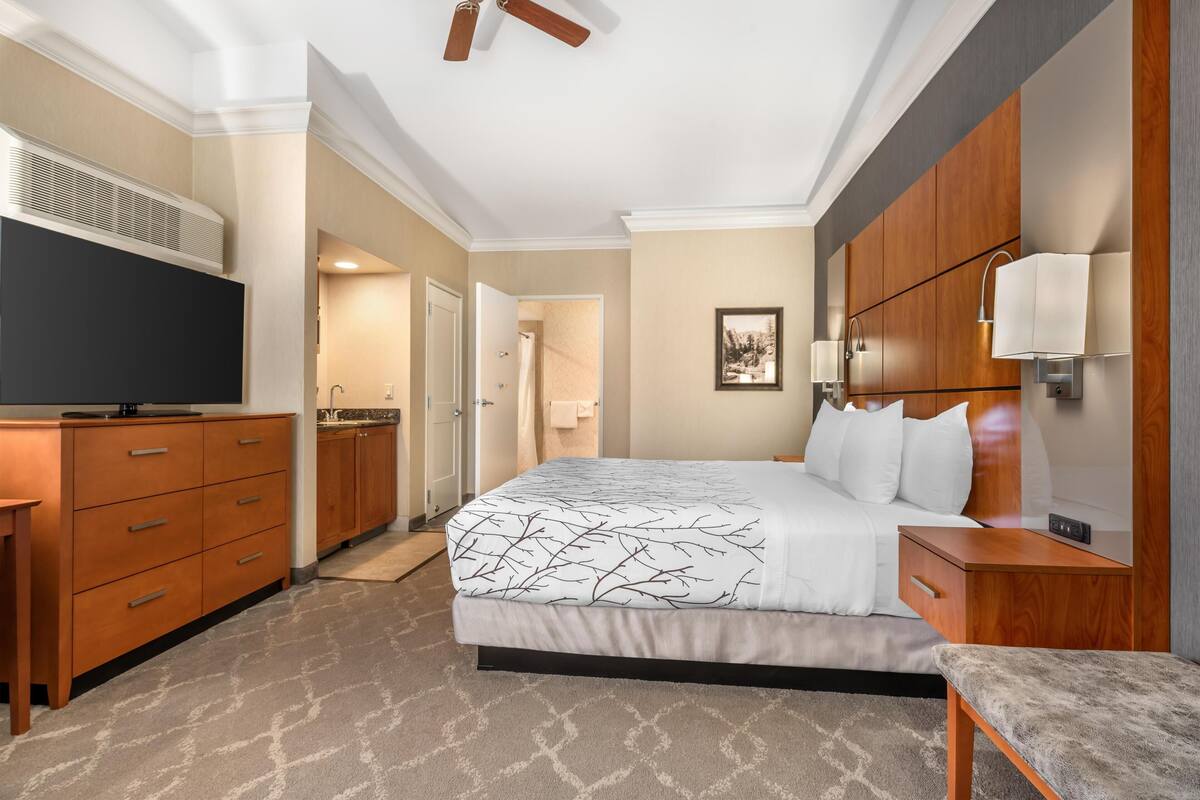 Une chambre d’hôtel comprenant un lit, une télévision, un bureau, une armoire et une salle de bain.