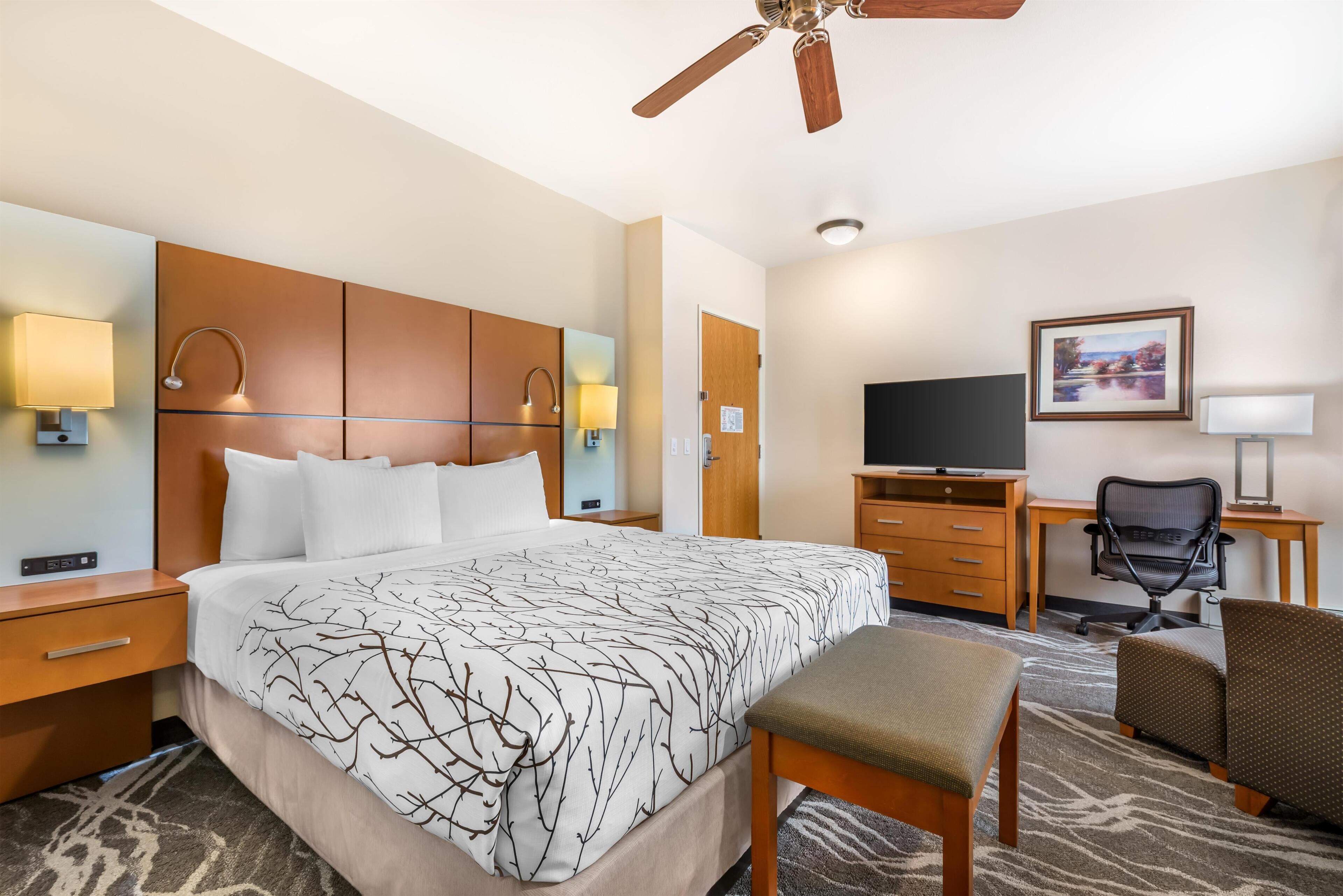 Quarto standard, 1 cama King, para não fumantes, micro-ondas
