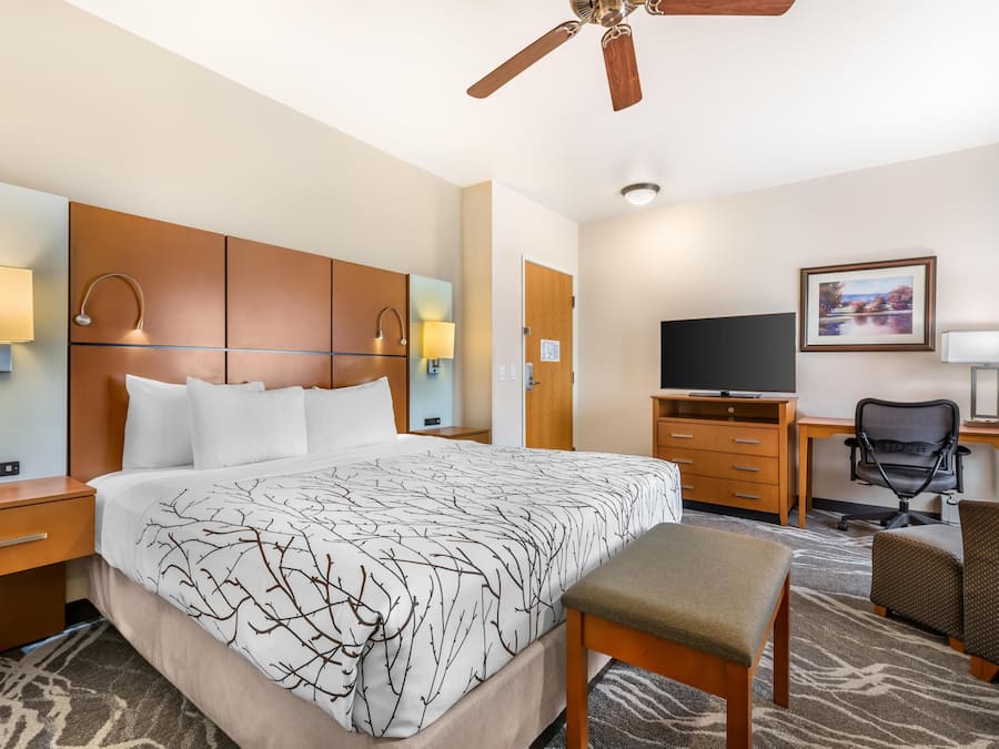 A hotel room with a bed, desk, chair, TV, and ceiling fan.