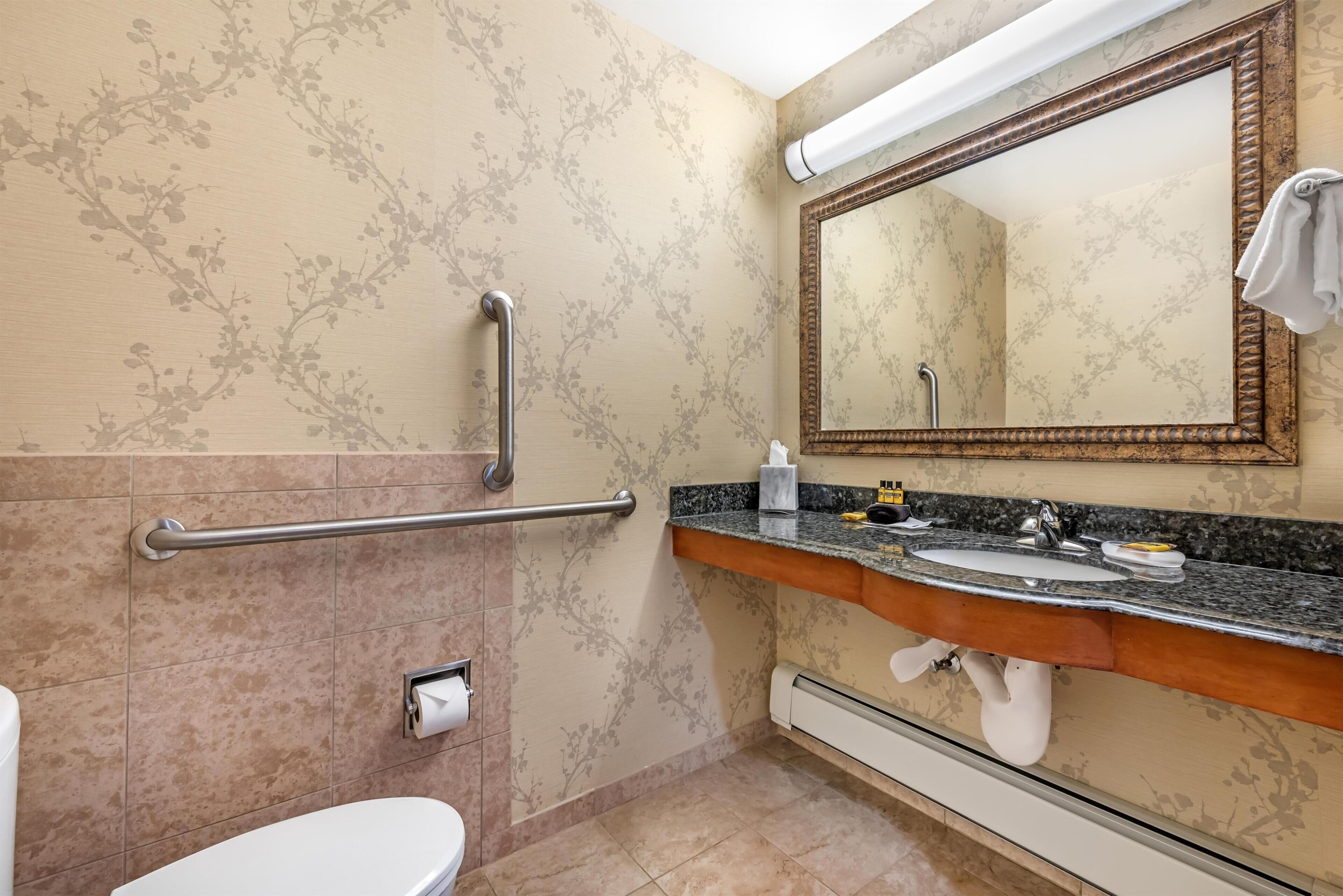 A bathroom with a toilet, a handrail, a sink with a mirror, and a towel rack.