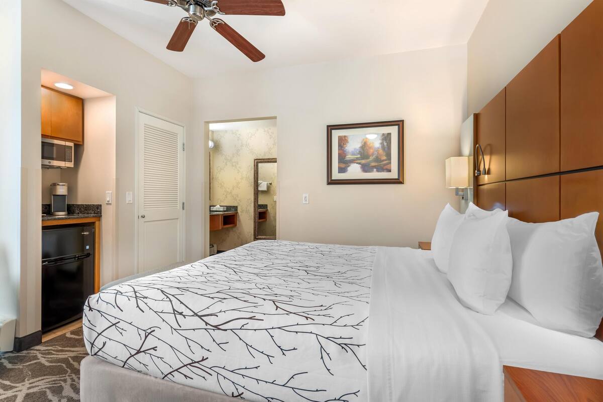 Une chambre d’hôtel équipée d’un lit, d’un ventilateur de plafond, d’un four à micro-ondes, d’un réfrigérateur, d’une salle de bain avec un miroir et d’un tableau encadré au mur.