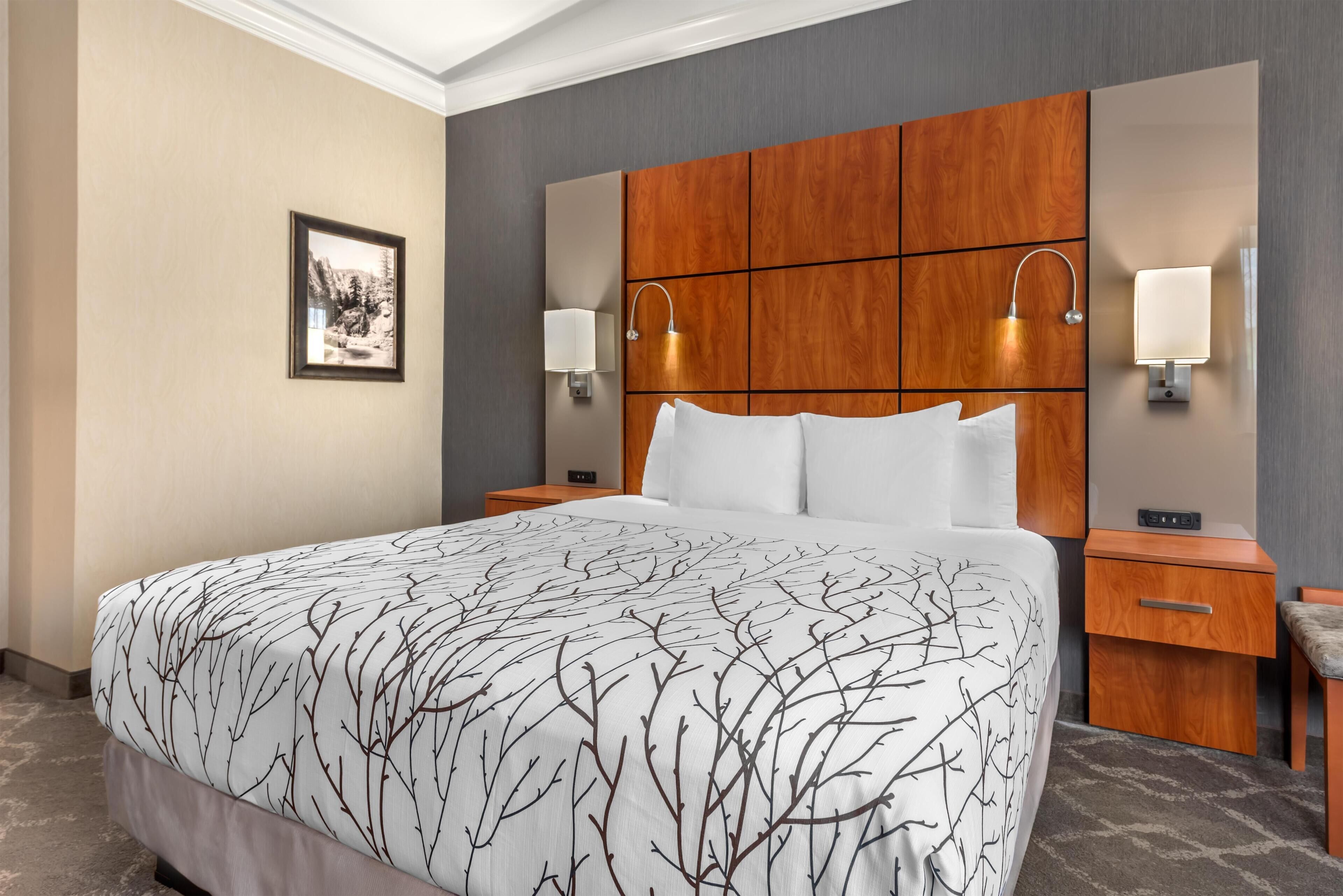A hotel room with a large bed, wooden headboard, two bedside tables with lamps, a framed picture on the wall, and a carpeted floor.