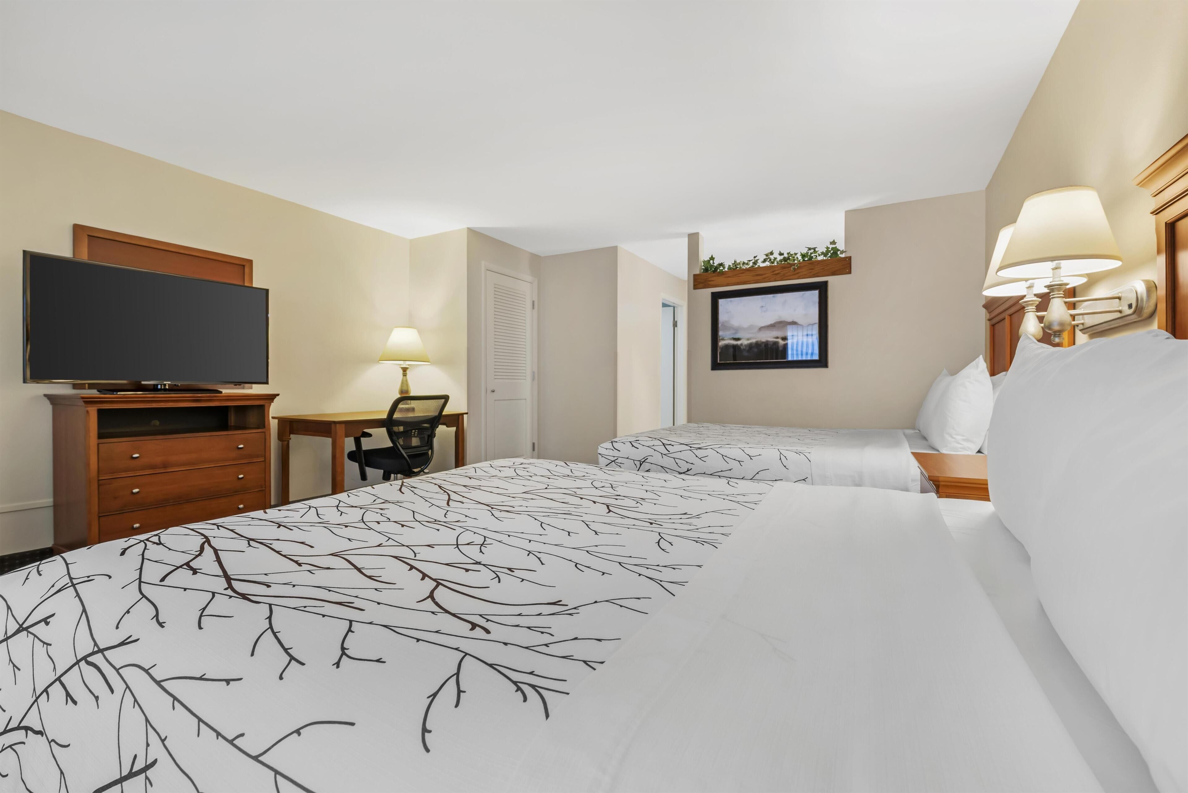 A hotel room with two beds, a television, a desk, and a chair.