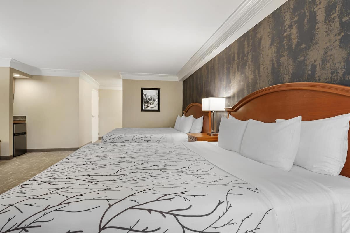 Une chambre d’hôtel avec un grand lit, une table de chevet avec une lampe, un tableau encadré au mur et un coin cuisine.