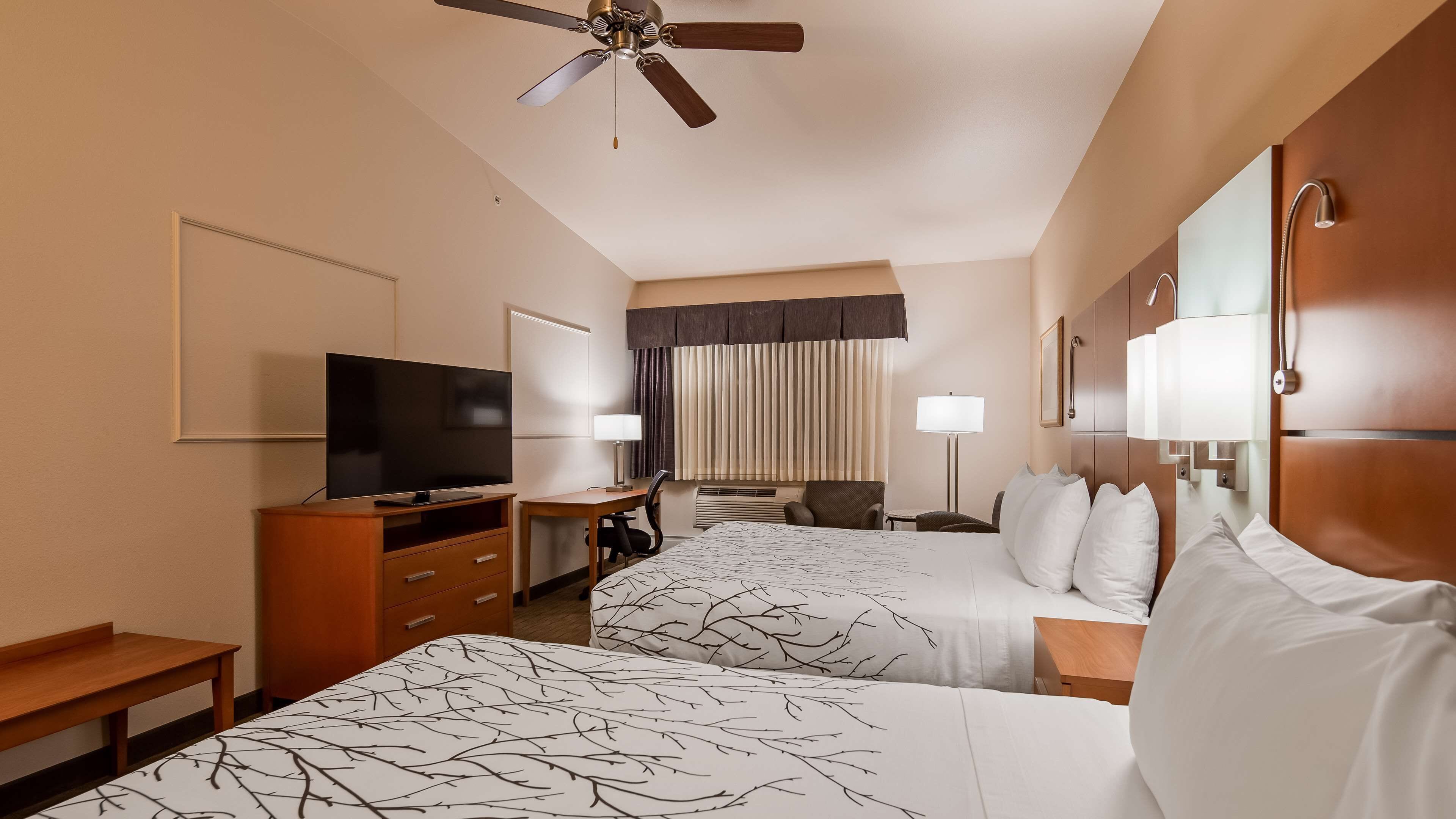 standard room, multiple beds, non smoking, microwave | pillow-top beds, in-room safe, blackout curtains, soundproofing