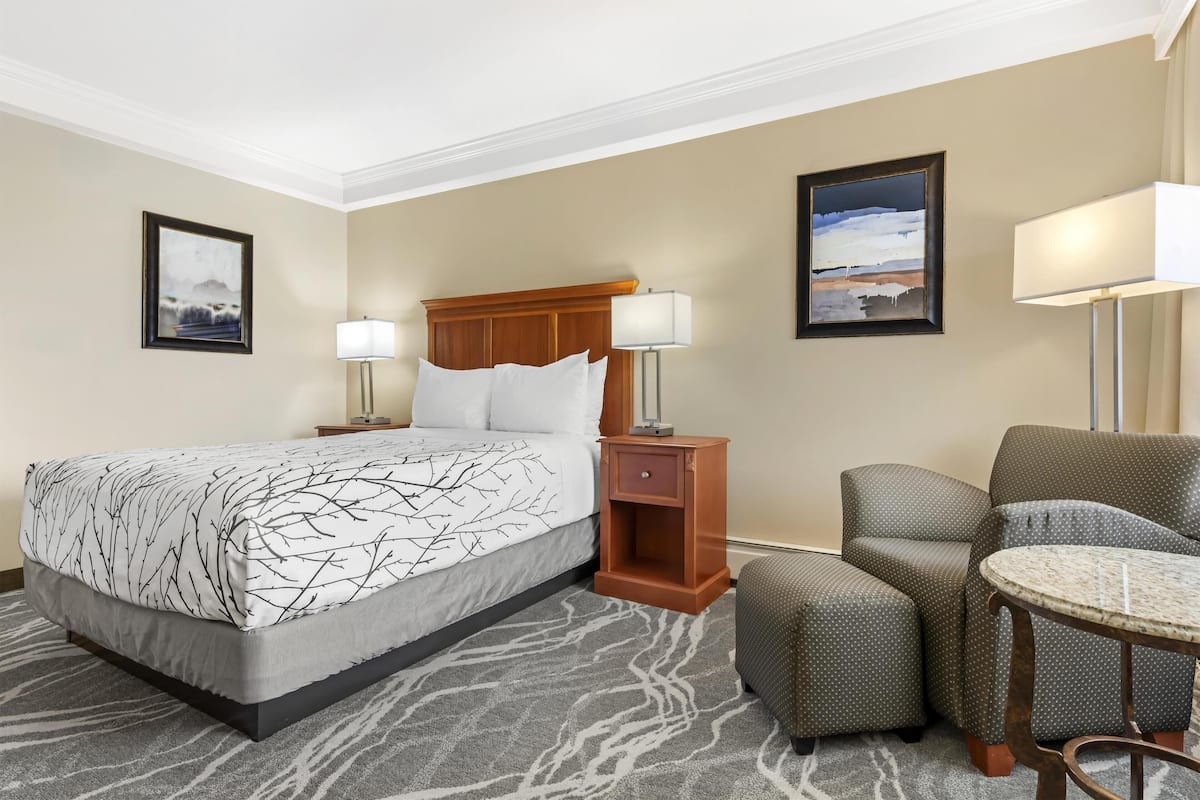 Standard Room, 1 Queen Bed, Non Smoking, Refrigerator & Microwave