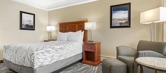 Best Western Plus Silver Saddle Inn
