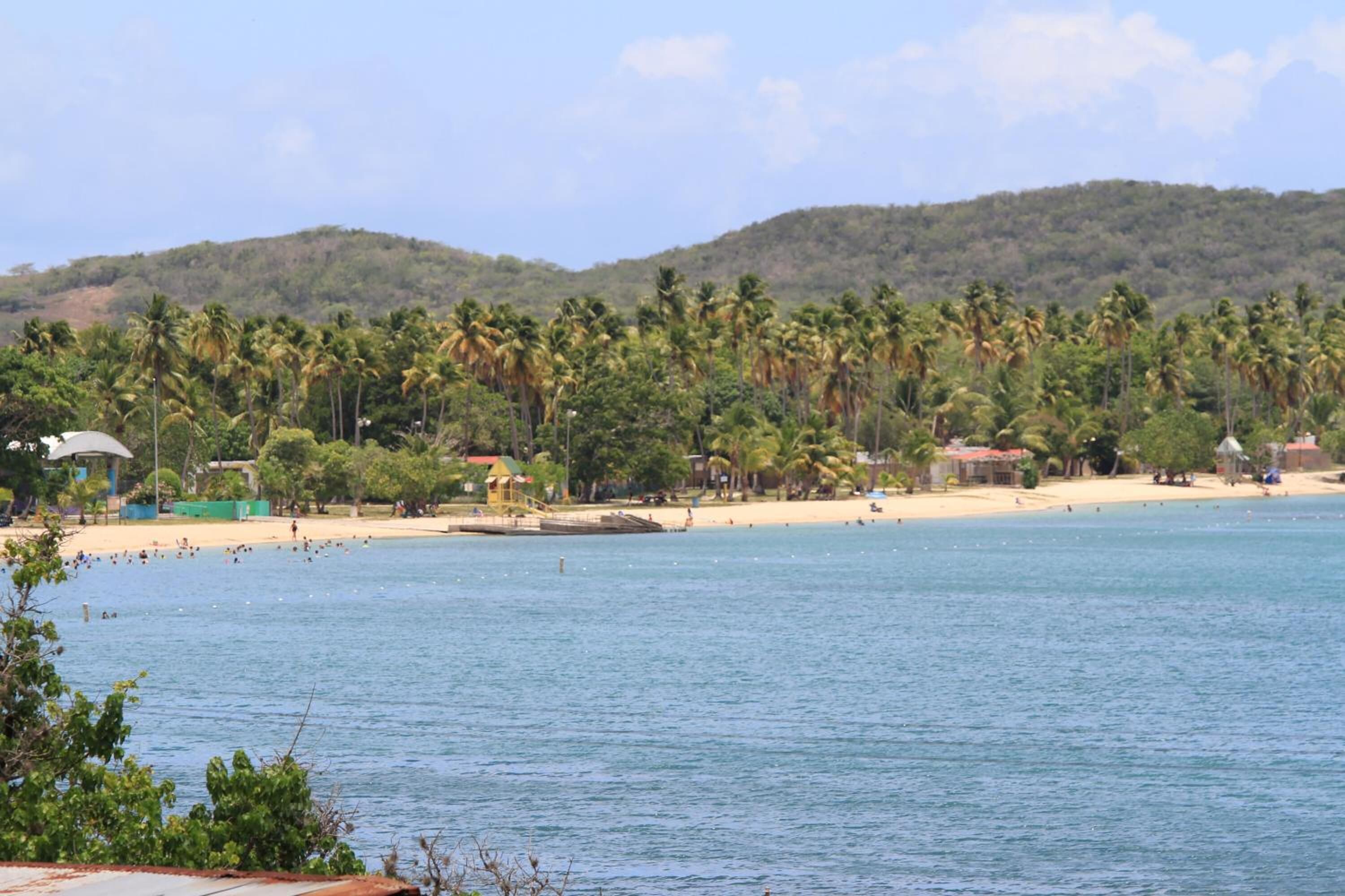 A beach with palm trees, a sandy shore, and a hill in the background.