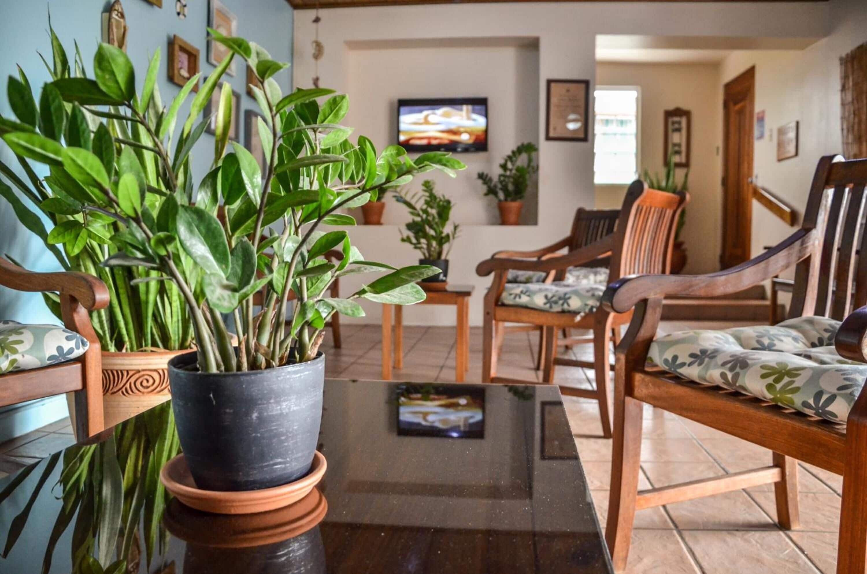 TV 19-inch có truyền hình cáp 