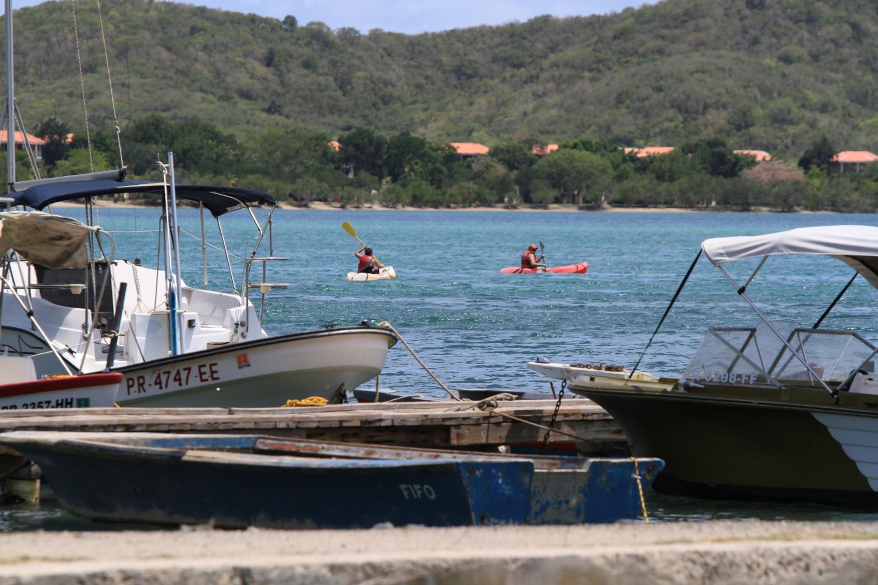 A marina with several boats docked, a person kayaking, and a forested hill in the background.