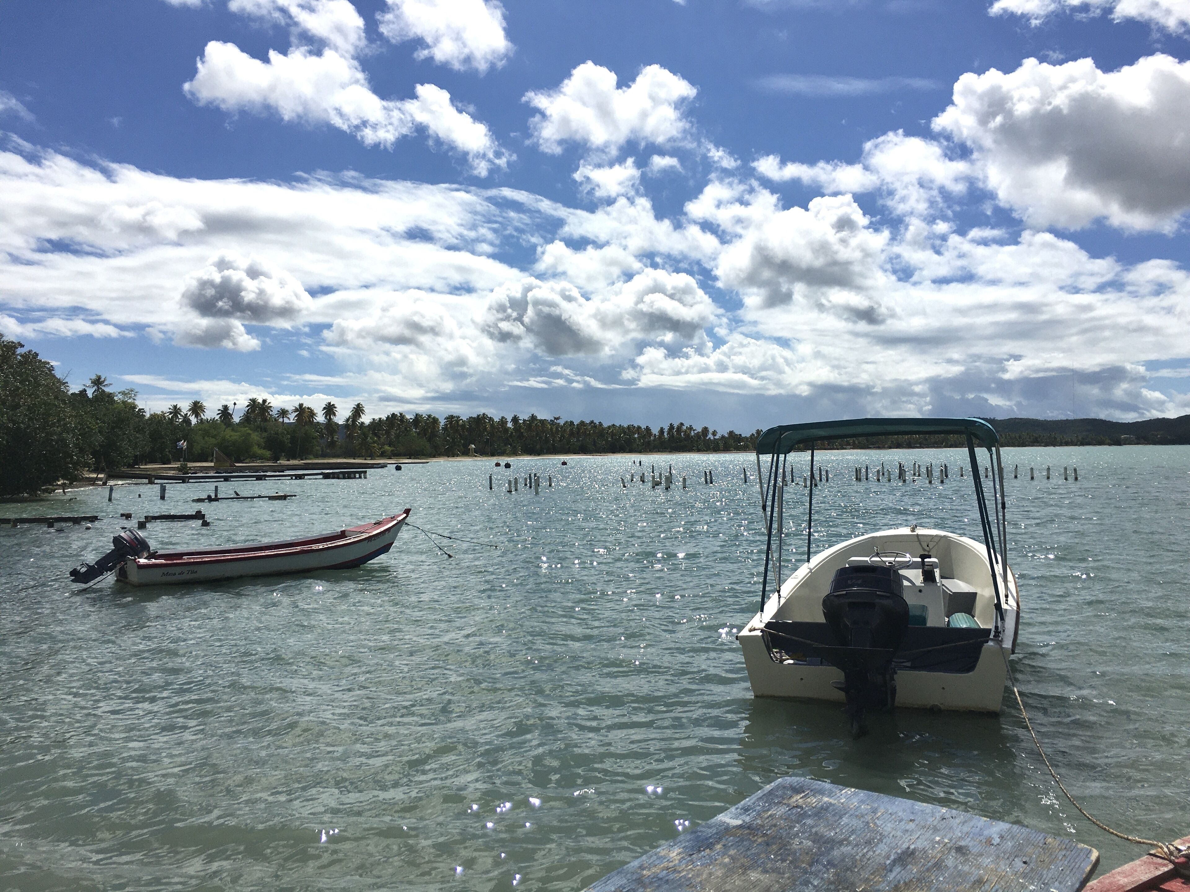Un lago tranquilo con dos barcos anclados, rodeado de palmeras y un cielo despejado.