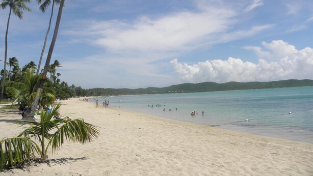 A beach with palm trees, clear turquoise water, and a distant hilly landscape. - Parador Boquemar (Cabo Rojo)