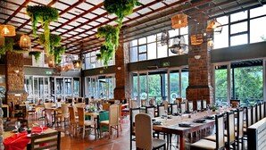 Un restaurante espacioso con techos altos, plantas colgantes y amplios ventanales que ofrecen vistas al verdor.