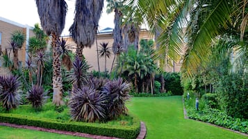 Jardín
