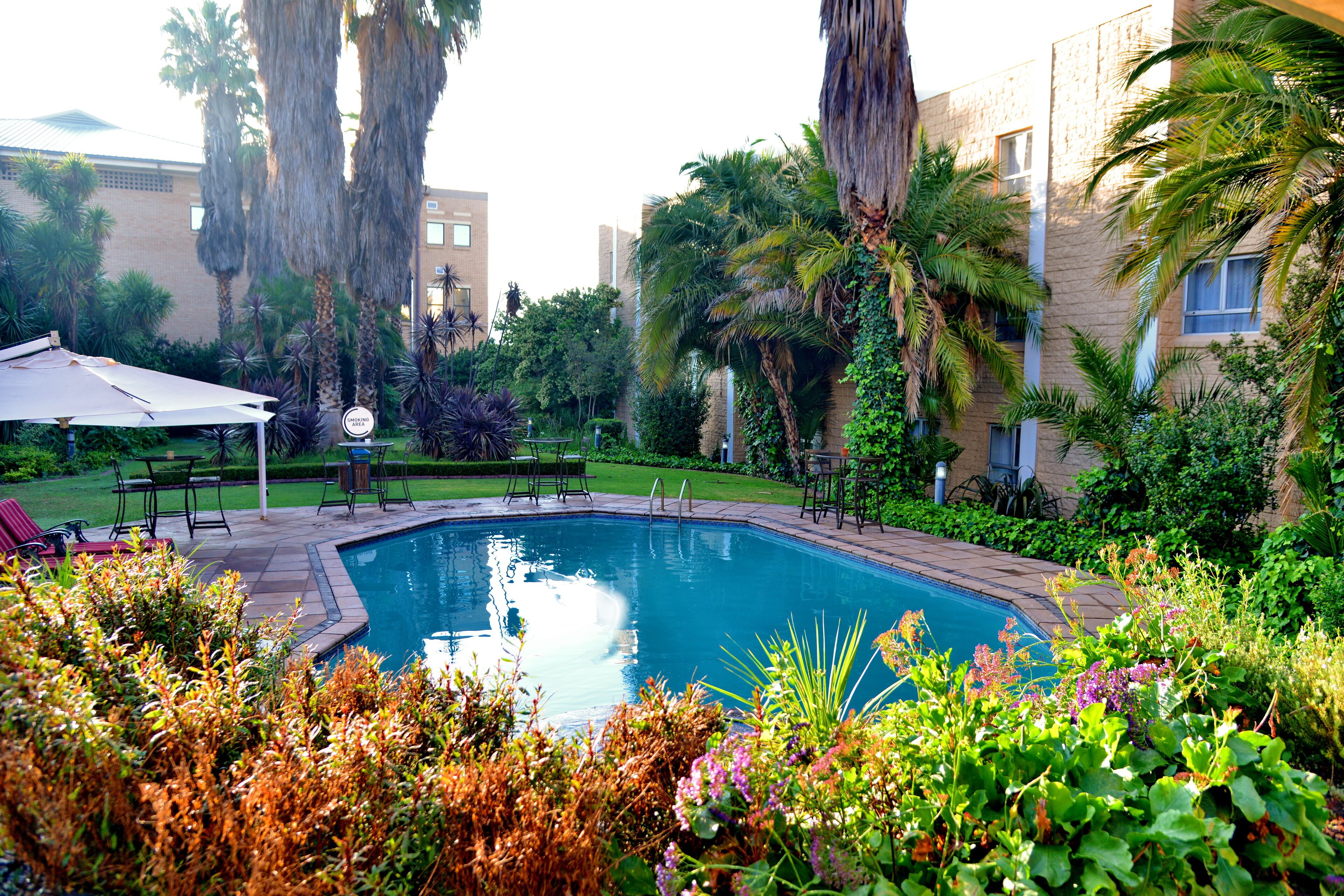 outdoor pool, pool loungers